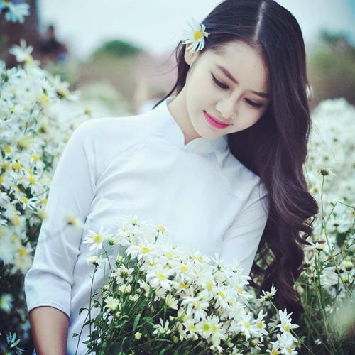 Tình Ca Tây Bắc Nhạc Sống Dân Ca Trữ Tình Quê Hương